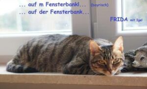 2016_Glückskatzen_043