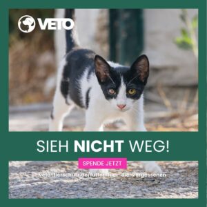 Veto Sieh nicht weg Spenden